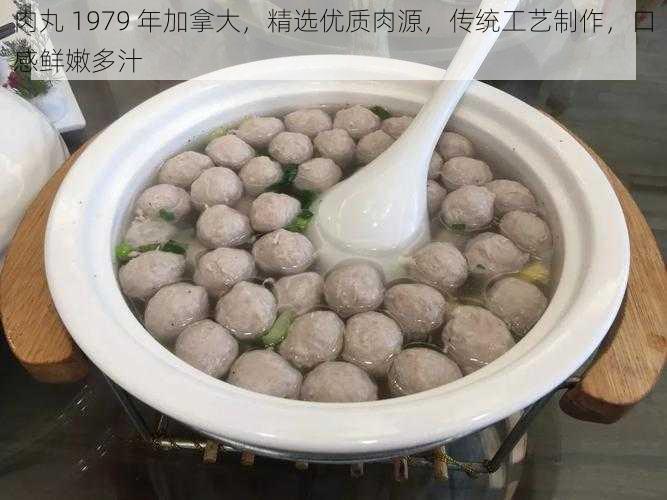 肉丸 1979 年加拿大，精选优质肉源，传统工艺制作，口感鲜嫩多汁