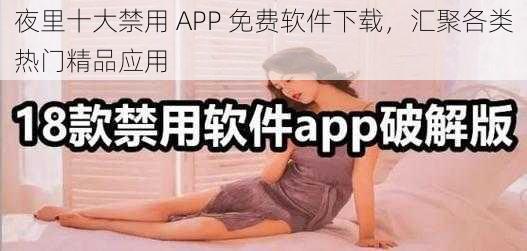 夜里十大禁用 APP 免费软件下载，汇聚各类热门精品应用