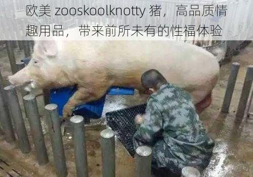 欧美 zooskoolknotty 猪，高品质情趣用品，带来前所未有的性福体验