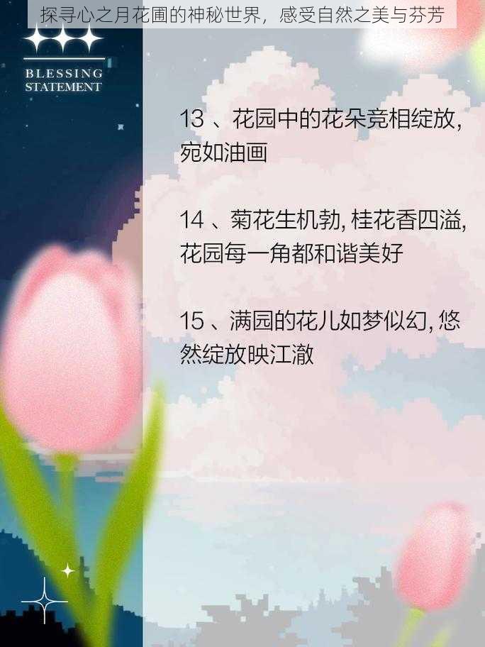 探寻心之月花圃的神秘世界，感受自然之美与芬芳