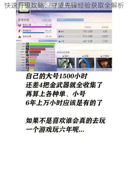 快速升级攻略：守望先锋经验获取全解析