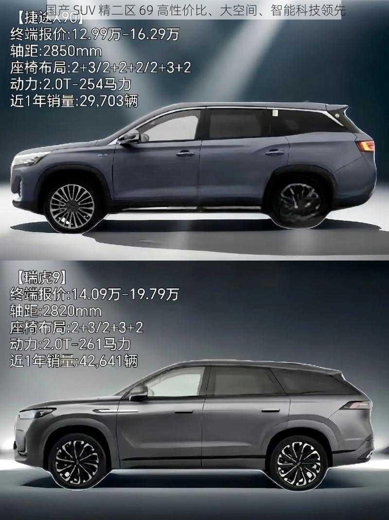 国产 SUV 精二区 69 高性价比、大空间、智能科技领先