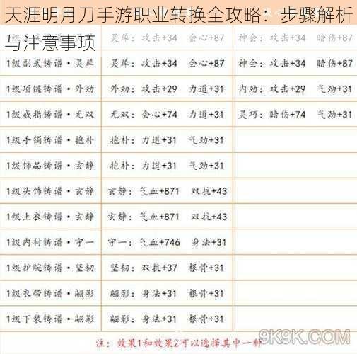 天涯明月刀手游职业转换全攻略：步骤解析与注意事项