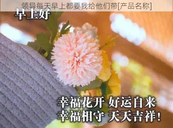 领导每天早上都要我给他们带[产品名称]