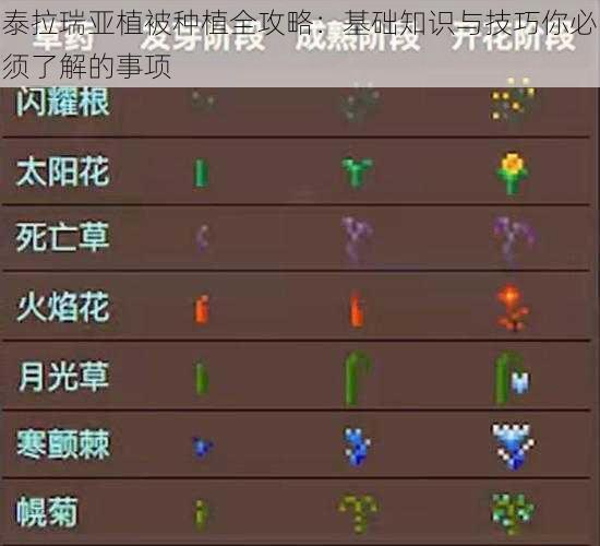 泰拉瑞亚植被种植全攻略：基础知识与技巧你必须了解的事项