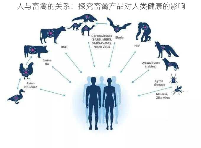 人与畜禽的关系：探究畜禽产品对人类健康的影响