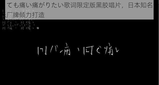 とても痛い痛がりたい歌词限定版黑胶唱片，日本知名音乐厂牌倾力打造