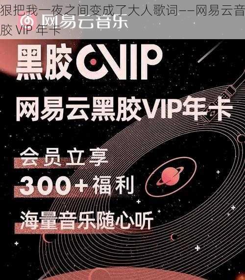 狠狠把我一夜之间变成了大人歌词——网易云音乐黑胶 VIP 年卡