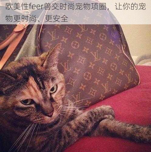 欧美性feer兽交时尚宠物项圈，让你的宠物更时尚、更安全