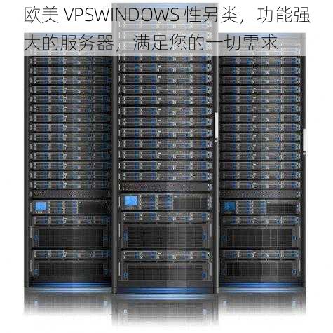 欧美 VPSWINDOWS 性另类，功能强大的服务器，满足您的一切需求