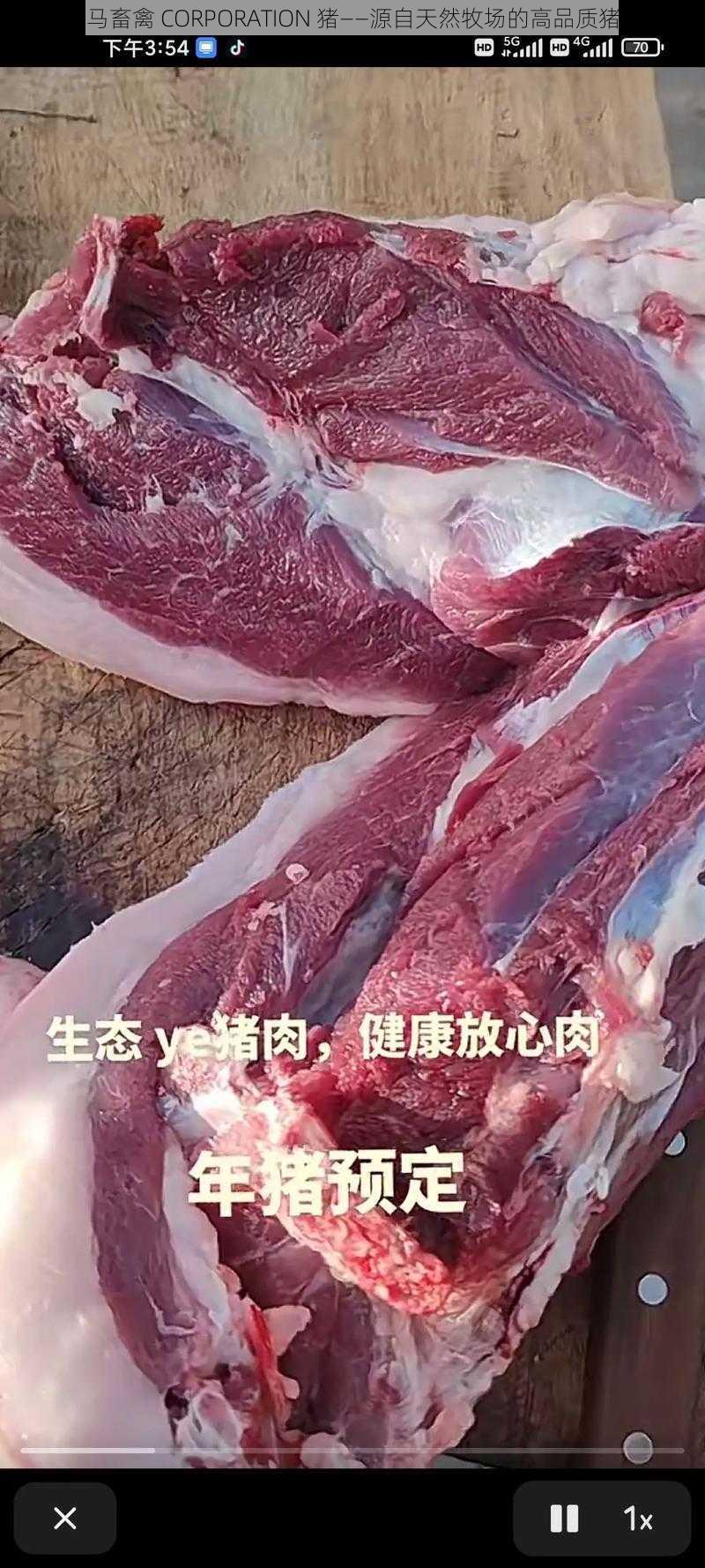 人马畜禽 CORPORATION 猪——源自天然牧场的高品质猪肉