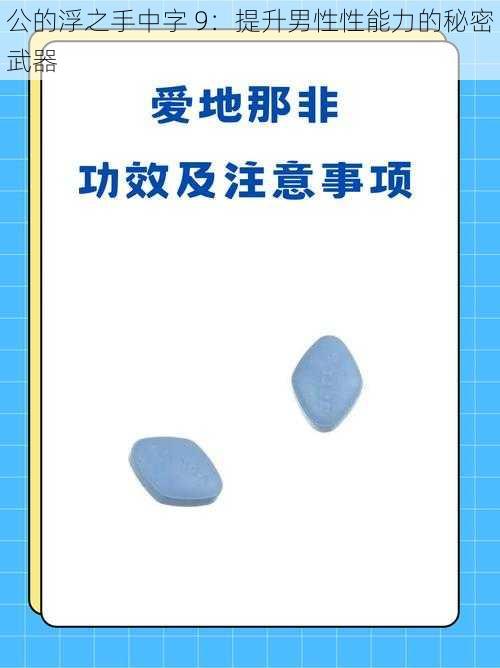 公的浮之手中字 9：提升男性性能力的秘密武器