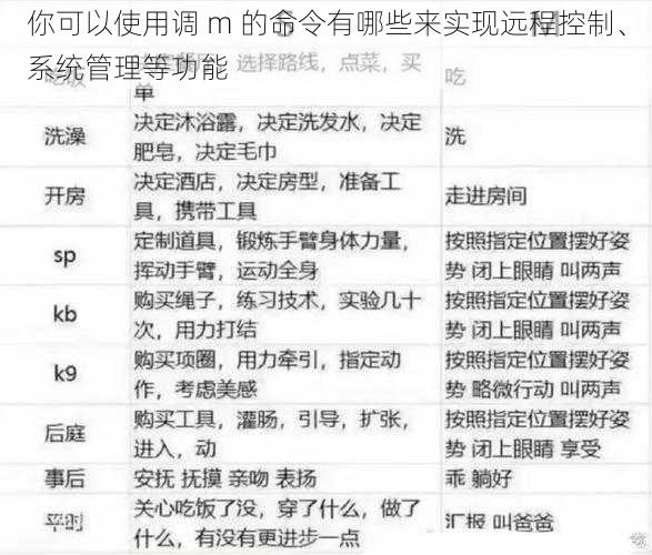 你可以使用调 m 的命令有哪些来实现远程控制、系统管理等功能