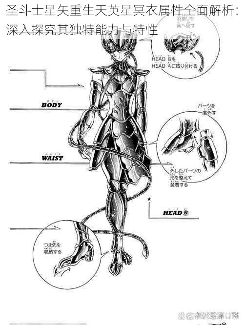 圣斗士星矢重生天英星冥衣属性全面解析：深入探究其独特能力与特性