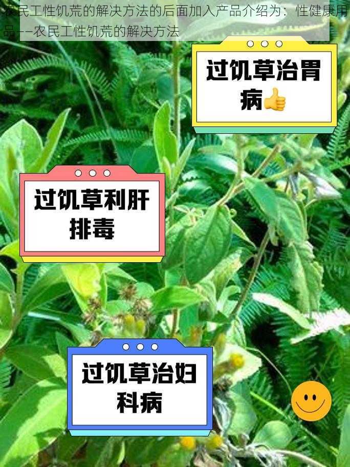 农民工性饥荒的解决方法的后面加入产品介绍为：性健康用品——农民工性饥荒的解决方法