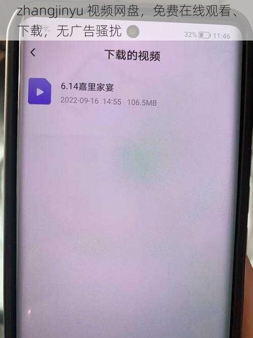 zhangjinyu 视频网盘，免费在线观看、下载，无广告骚扰