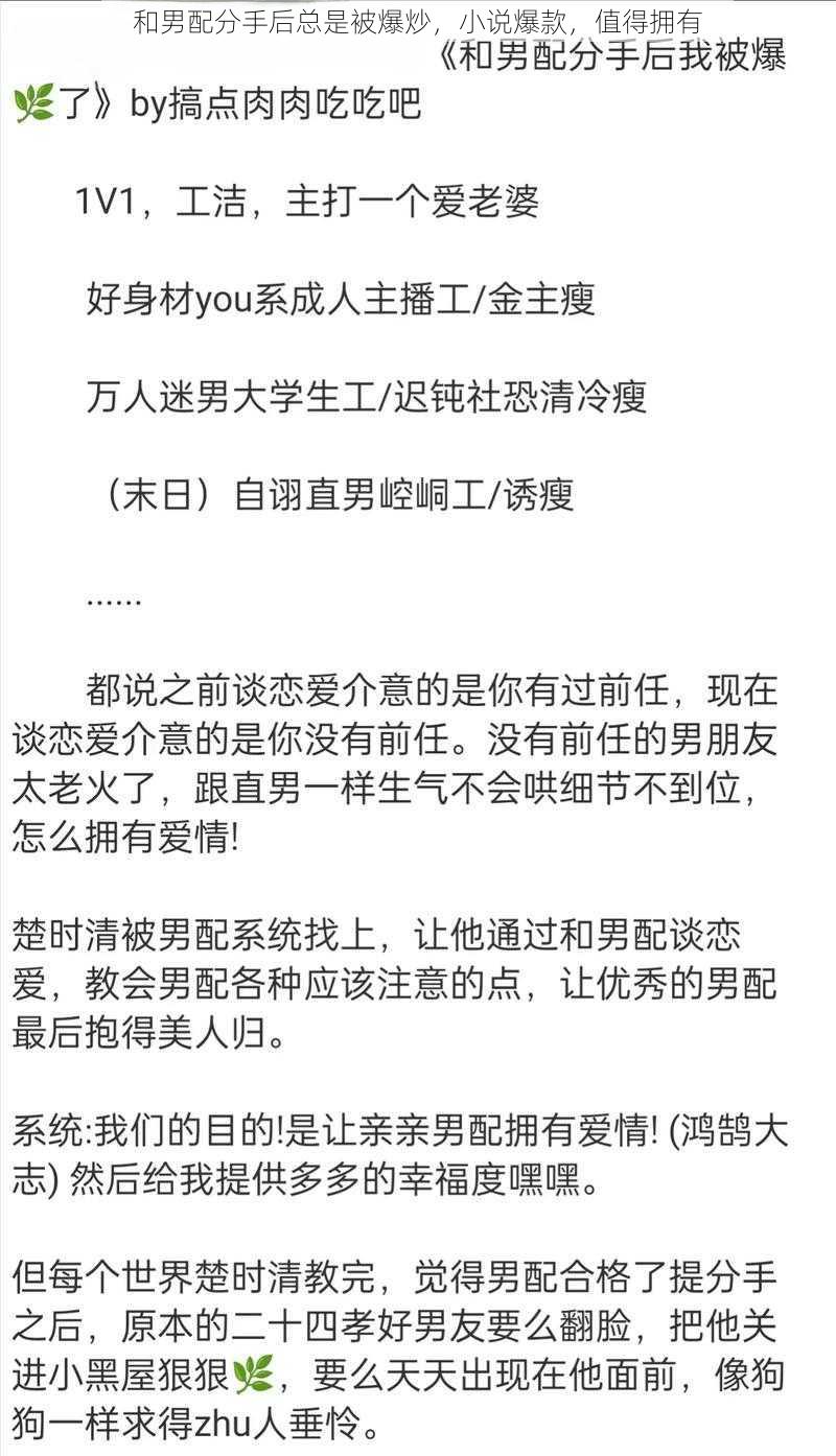 和男配分手后总是被爆炒，小说爆款，值得拥有