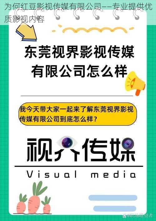 为何红豆影视传媒有限公司——专业提供优质影视内容