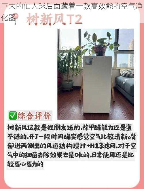 巨大的仙人球后面藏着一款高效能的空气净化器