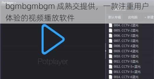 bgmbgmbgm 成熟交提供，一款注重用户体验的视频播放软件