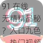 91 在线无精精品秘？入口九色，热门视频，激情不断，让你尽享视觉盛宴