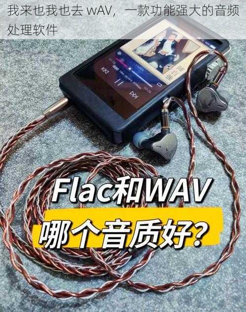 我来也我也去 wAV，一款功能强大的音频处理软件