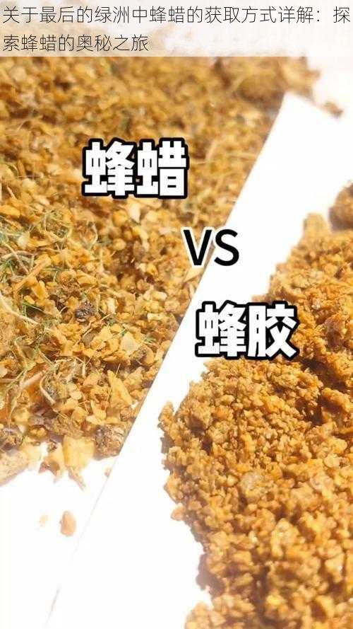 关于最后的绿洲中蜂蜡的获取方式详解：探索蜂蜡的奥秘之旅