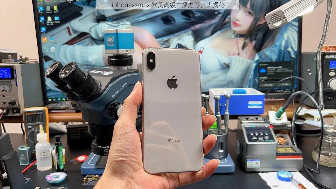 iphonexsmax 欧美高级主播力荐，大揭秘