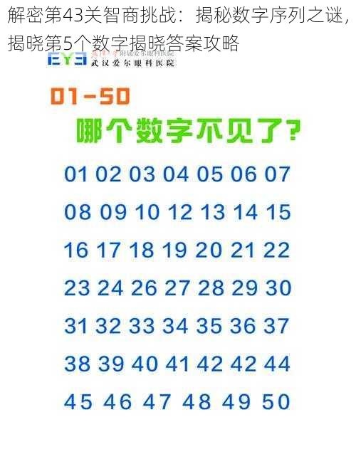 解密第43关智商挑战：揭秘数字序列之谜，揭晓第5个数字揭晓答案攻略