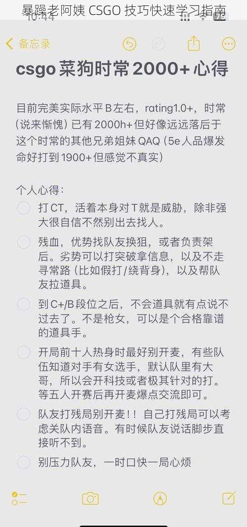 暴躁老阿姨 CSGO 技巧快速学习指南