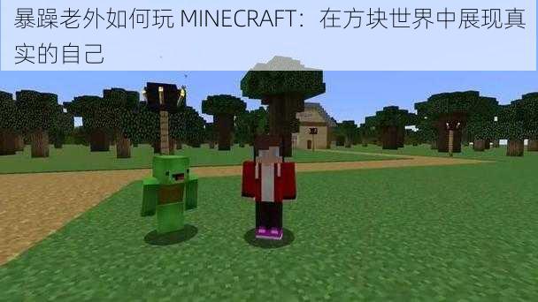 暴躁老外如何玩 MINECRAFT：在方块世界中展现真实的自己