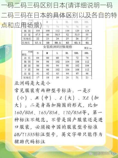 一码二码三码区别日本(请详细说明一码二码三码在日本的具体区别以及各自的特点和应用场景)