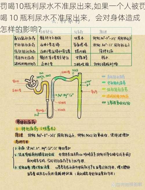 罚喝10瓶利尿水不准尿出来,如果一个人被罚喝 10 瓶利尿水不准尿出来，会对身体造成怎样的影响？