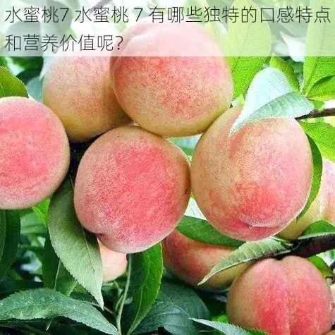 水蜜桃7 水蜜桃 7 有哪些独特的口感特点和营养价值呢？