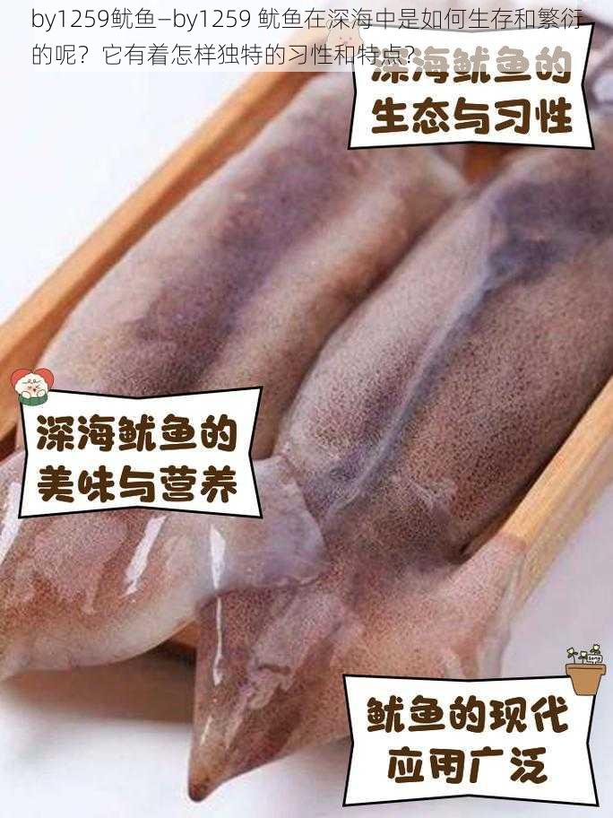 by1259鱿鱼—by1259 鱿鱼在深海中是如何生存和繁衍的呢？它有着怎样独特的习性和特点？