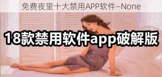 免费夜里十大禁用APP软件—None