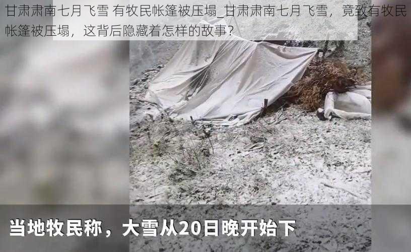 甘肃肃南七月飞雪 有牧民帐篷被压塌_甘肃肃南七月飞雪，竟致有牧民帐篷被压塌，这背后隐藏着怎样的故事？