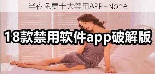 半夜免费十大禁用APP—None