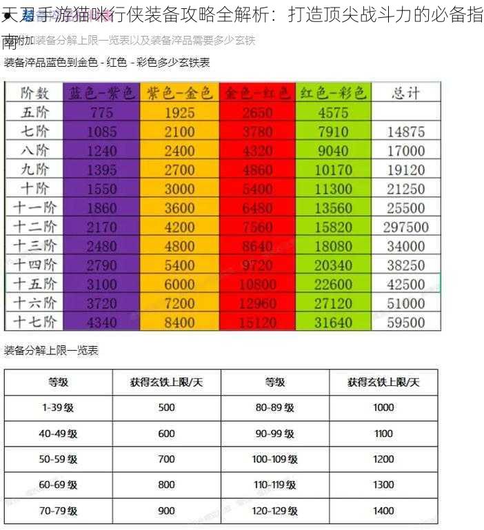 天刀手游猫咪行侠装备攻略全解析：打造顶尖战斗力的必备指南