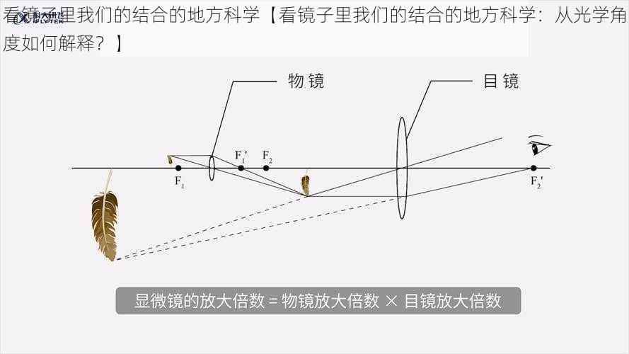 看镜子里我们的结合的地方科学【看镜子里我们的结合的地方科学：从光学角度如何解释？】