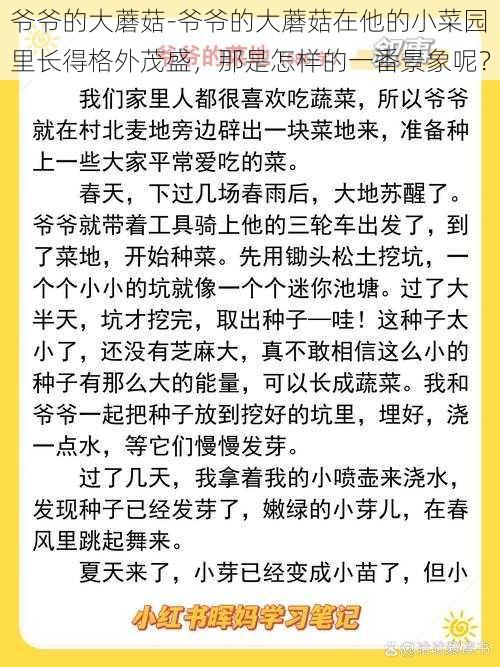 爷爷的大蘑菇-爷爷的大蘑菇在他的小菜园里长得格外茂盛，那是怎样的一番景象呢？