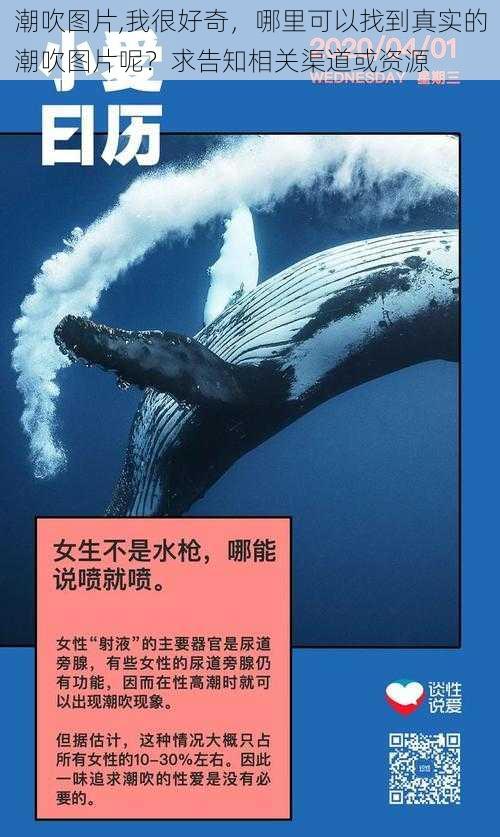 潮吹图片,我很好奇，哪里可以找到真实的潮吹图片呢？求告知相关渠道或资源