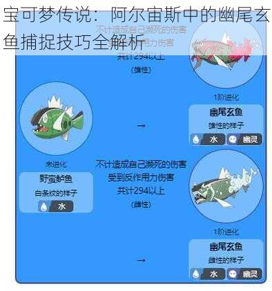 宝可梦传说：阿尔宙斯中的幽尾玄鱼捕捉技巧全解析