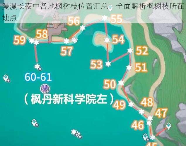 漫漫长夜中各地枫树枝位置汇总：全面解析枫树枝所在地点