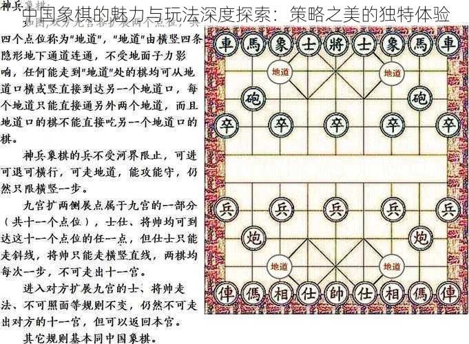 中国象棋的魅力与玩法深度探索：策略之美的独特体验