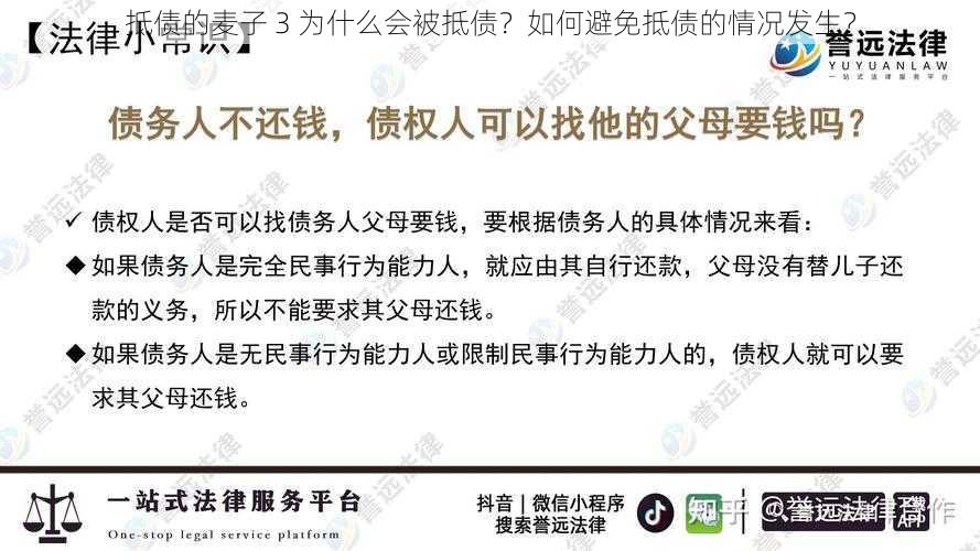 抵债的麦子 3 为什么会被抵债？如何避免抵债的情况发生？