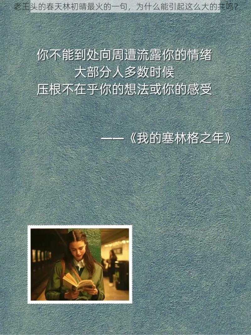 老王头的春天林初晴最火的一句，为什么能引起这么大的共鸣？