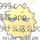 ll999.c 榴莲 app 为什么这么火？如何下载使用？