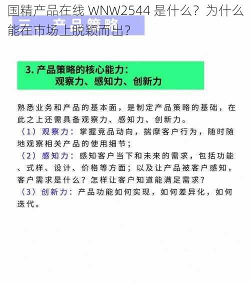 国精产品在线 WNW2544 是什么？为什么能在市场上脱颖而出？