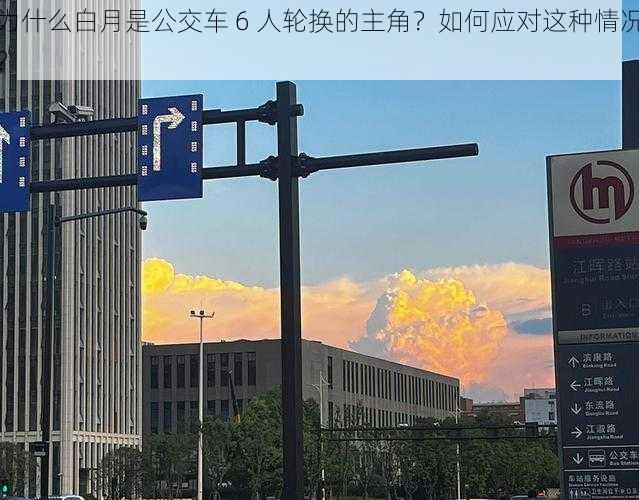 为什么白月是公交车 6 人轮换的主角？如何应对这种情况？